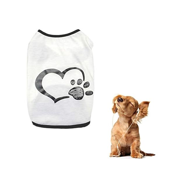 WFWUK Vestiti per Cani Taglia Media Cappottino Cane Estate Abbigliamento Cani Estate Vestiti Carini Vestiti per Cuccioli…
