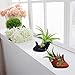 6 Pack Ceramic Air Plant Stand Holder, Hand Shape Tillandsia Airplant Container Pot Tabletop Plant Display Hand Racks for Home Office Decoration Supplies (Red+Black)thumb 1
