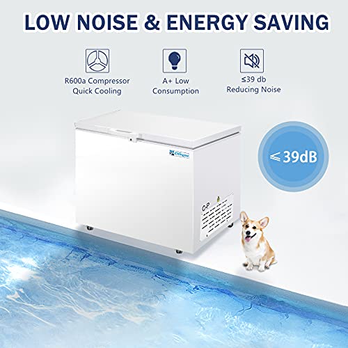 Chingoo 13 Cu ft Chest Freezer with Wire Storage Basket Commercial