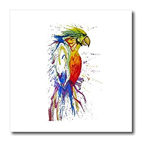 3dRose Abstract Art of Parrot Budgie Animal Nature Iron On Heat Transfer 10"