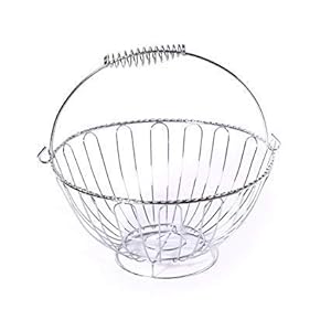 Truvic Stainless Steel Round Fruit Basket (Multicolour)
