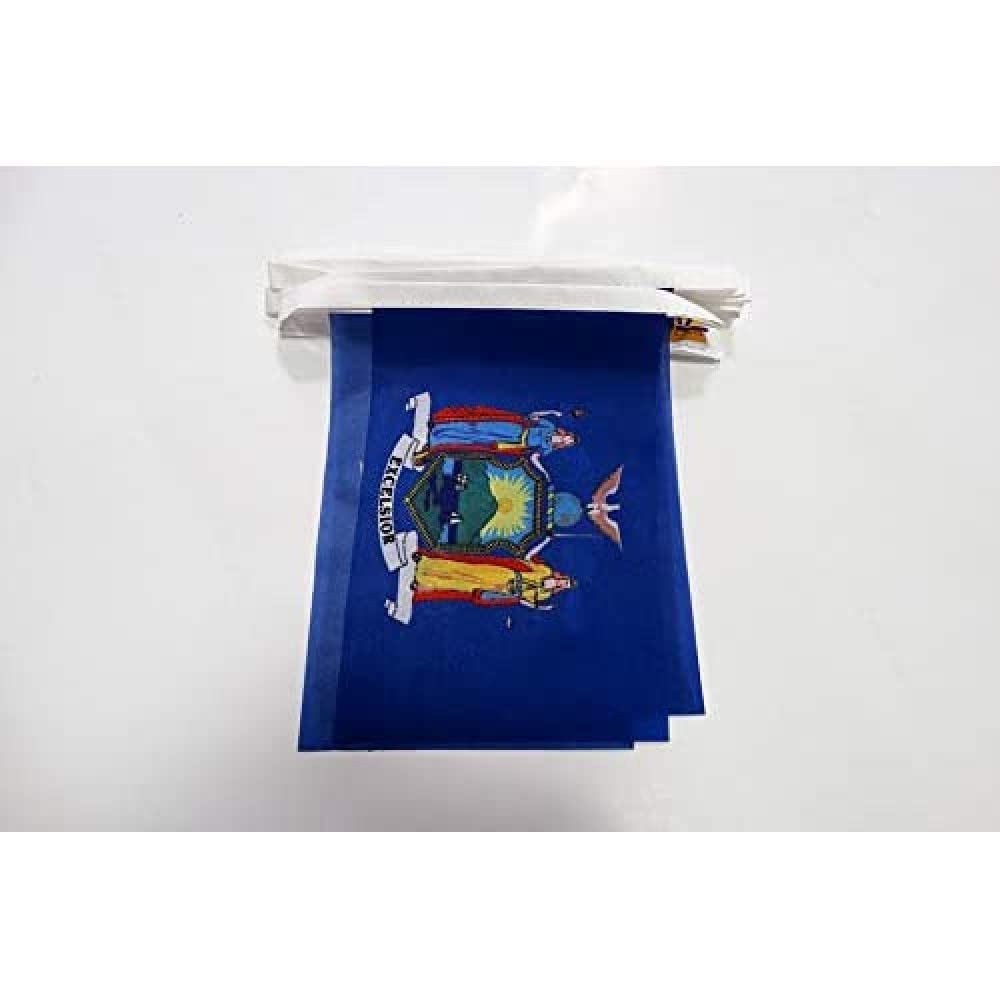 AZ FLAG New York Bunting Flag, 20 Ft Garland 20 Small US state of New York Flags 8'' x 6'', 100% Polyester String Pennant, 6 meters