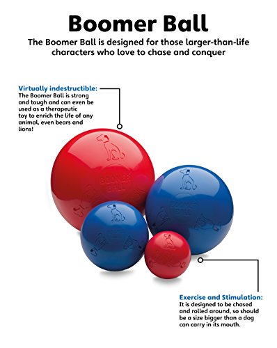TCOA Boomer Ball Med 6" colors may vary