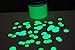 Opticz Daytime Visible Luminescent UV Blacklight Reactive Marking Ink (UV Green, 16 Ounce)