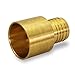 Supply Giant QTGB1212-5 Female Sweat Copper Adapter X Pex Barb Pipe Fitting, 1/2'' x1/2'', Brass, 5 pack
