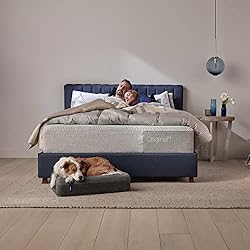 Casper Sleep Original Hybrid Mattress, Twin XL
