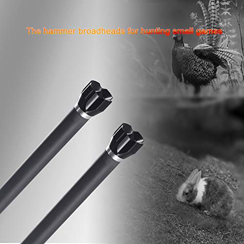 Wisdom 100 Grain Bowhunting Small Game Hammer Practice BroadHeads