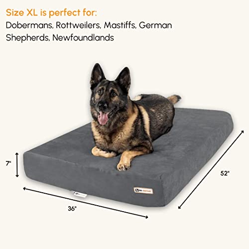 Big Barker Sleek Orthopedic Dog Bed 7” Dog Sofa Bed for Large Dogs w