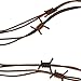 Nicky Bigs Novelties 8 Foot Fake Rusted Barbed Wire Decoration, Brown