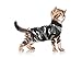 Suitical Recovery Suit for Cats - Spay and Neutering Cat Surgery Recovery Suit for Male or Female - Soft Fabric for Skin Conditions - XS, Neck to Tail 15.7-17.7 in, 18-24 in Chest - Black Camouflage