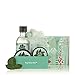 The Body Shop Fuji Green Tea Essential Selection Gift Set