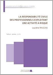 La  responsabilité civile des professionnels exploitant une activité à risque
