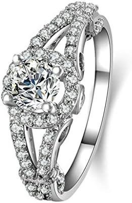 Bishilin Silver Plated Cubic Zirconia Inlaid Halo Wedding Band Rings For Her Size 10