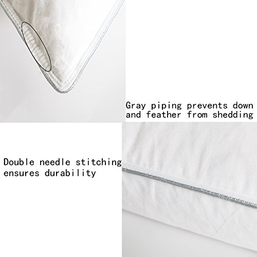Feather and Down Bed Pillow,King Size 2 Pack,Firm White Goose Feather and Down Pillow,Cotton Cover with Fashionable Piping by AIKOFUL