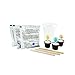 MindWare Crystal Growing Kits (Lollipop Tree)