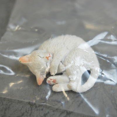 Amazon ネイチャーテクニカラーmono ネコストラップ マグネット 13 白 子猫 マグネットver 単品 カプセル玩具 おもちゃ Amazon ネイチャーテクニカラーmono ネコストラップ マグネット 13 白 子猫 マグネットver 単品 カプセル玩具 おもちゃ