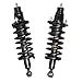 OREDY Pair Rear Struts w/Coil Spring for 2001 2002 2003 2004 2005 Honda Civic Sedan Coupe (Not Si) Quick Strut Shock Absorber Assembly - 171340L 171340R