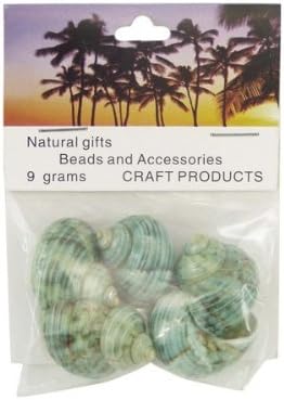 Generic 1351 Pack of Seashells Turbo Burgos 10 x 2 x 7 cm Green