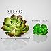 SEEKO Artificial Succulents - 14 Pack - Create Realistic Succulent Arrangements, Faux Potted Succulent Decor, and Fake Succulent Planters for Your House or Apartment