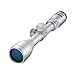 Nikon INLINE XR BDC 300 Riflescope, Silver, 3-9x40