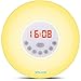 SOLLED Wake Up Light, Sunrise Alarm Clock with Nature Sounds, FM Radio, Touch Control and USB Charger, Sunrise Simulator Alarm Clock