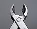 Porfessional Grade Bonsai Tools 180 Mm Round Edge Cutter Mixed Function of Round Edge and Straight Edge Cutter Made by 4Cr13MoV Alloy Steel