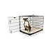 Petco Classic 1-Door Dog Crate, 48