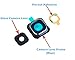 OmniRepairs-Rear Facing Glass Camera Lens Frame Assembly Replacement for Samsung Galaxy Note 5 SM-N920 with Pre-Installed Adhesive and Repair Toolkit (Blue)
