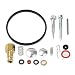 Butom 31840 49-840 Carburetor Repair Rebuild Overhual Kit for Tecumseh H22 H25 H30 H35 H40 H50 H60 H70 HH40 HH50 HH60 HH70 Engine Lawn-boy Toro Craftman Snowblower Tiller