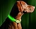 Illumiseen LED Dog Collar USB Rechargeable - Bright & High Visibility Lighted Glow Collar for Pet Night Walking - Weatherproof, in 6 Colors & 6 Sizes (Green X-Large)