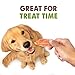 Purina Waggin Train Chicken Jerky Dog Treats, 36-Ounce