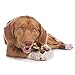 Cadet Gourmet Chicken & Apple Wrapped Dog Treats Wraps - Healthy & Natural Chicken & Apple Dog Training Treats for Small & Large Dogs - Inspected & Tested in USA (14 oz.)