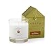 Trapp Signature Home Collection No. 39 Sexy Cinnamon Poured Scented Candle, 7-Ounce