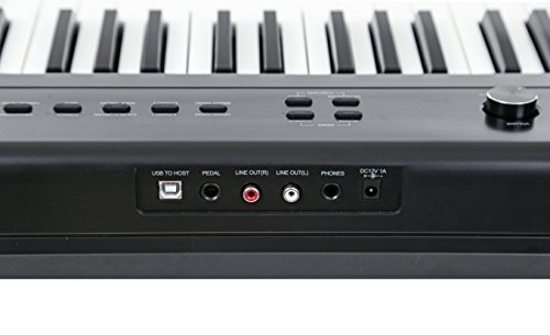Artesia PA88-W 88-Key Portable Digital Piano (Black) Bundle with Furniture Stand and Matching Storage Bench plus Sustain Pedal and Power Adapter.
