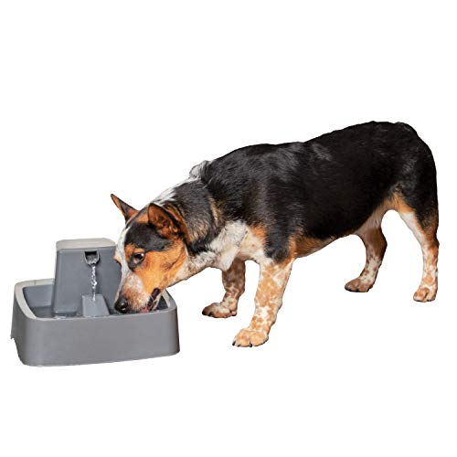 PetSafe Drinkwell 1 Gallon (128 Ounce) Medium Pet Fountain Cat or