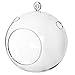 7-Inch Large Clear Glass Hanging Air Plant Terrarium Ball/Votive Candle Holder w/Flat Base & Loop Hook