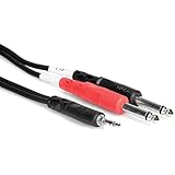 Hosa CMP-159 3.5 mm TRS to Dual 1/4 inch TS Stereo Breakout Cable, 10 feet