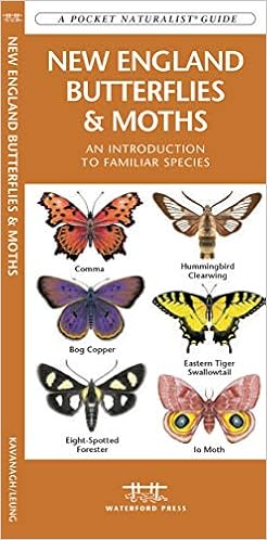 Types Of Moths In New York