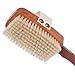 Bürstenhaus Redecker Natural Pig Bristle Bath Brush with Oiled Pearwood Handle, 16-7/8-Inches
