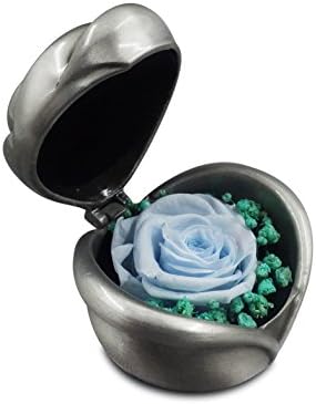 Preserved Flower Roses, Fresh Flower Gift with Elegant Vintage Floral Ring Gift Metal Boxes for Anniversary, Birthday(Light Blue)