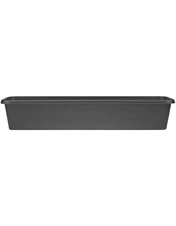 Platillos para plantas | Amazon.es