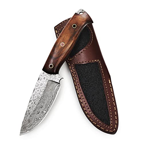 BIGCAT ROAR Handmade Damascus Hunting Knife Bushcraft Full Tang Fixed