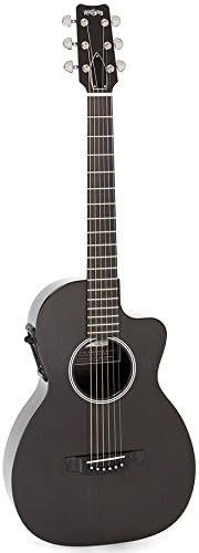 Rain Song P12 Parlor 6-string with 12-fret Short-Scale NS Neck w Case
