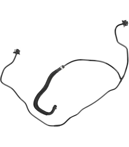 Amazon.com: Ford Genuine CV6Z-8B081-Z Hose : Automotive