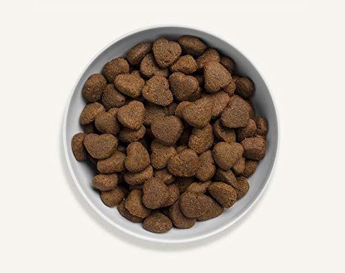 canagan dog food amazon