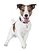 Purina Beneful Healthy Smile Dental Ridges Small/Medium Dog Treats - 7.4 Oz. Pouch