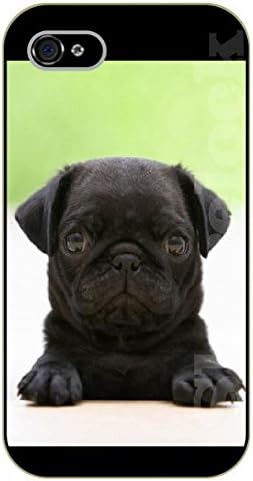 iPhone 6 Case Black pug, puppy - black plastic case / dog, animals, dogs