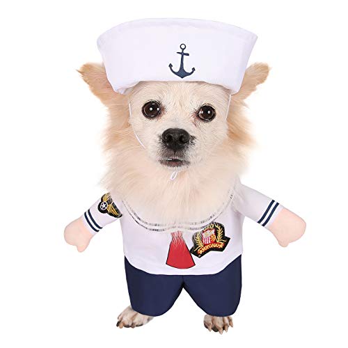 dog sailor suit