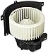 TYC 700262 Replacement Blower Assembly