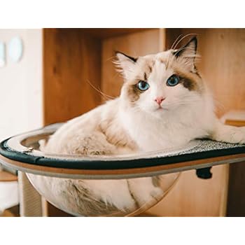 CatKick Future of Cat's Playground & Innovative Cat Tower (Hammock)